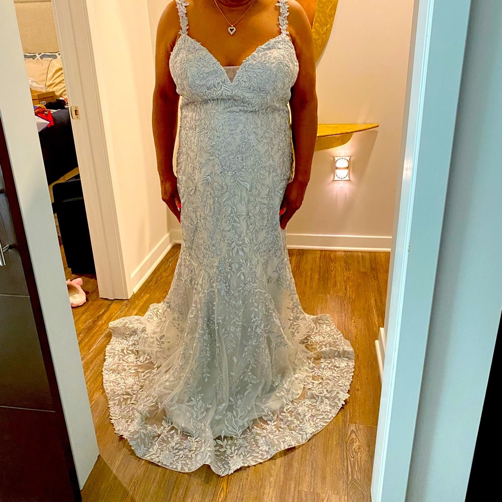 Beautiful Silver Gown